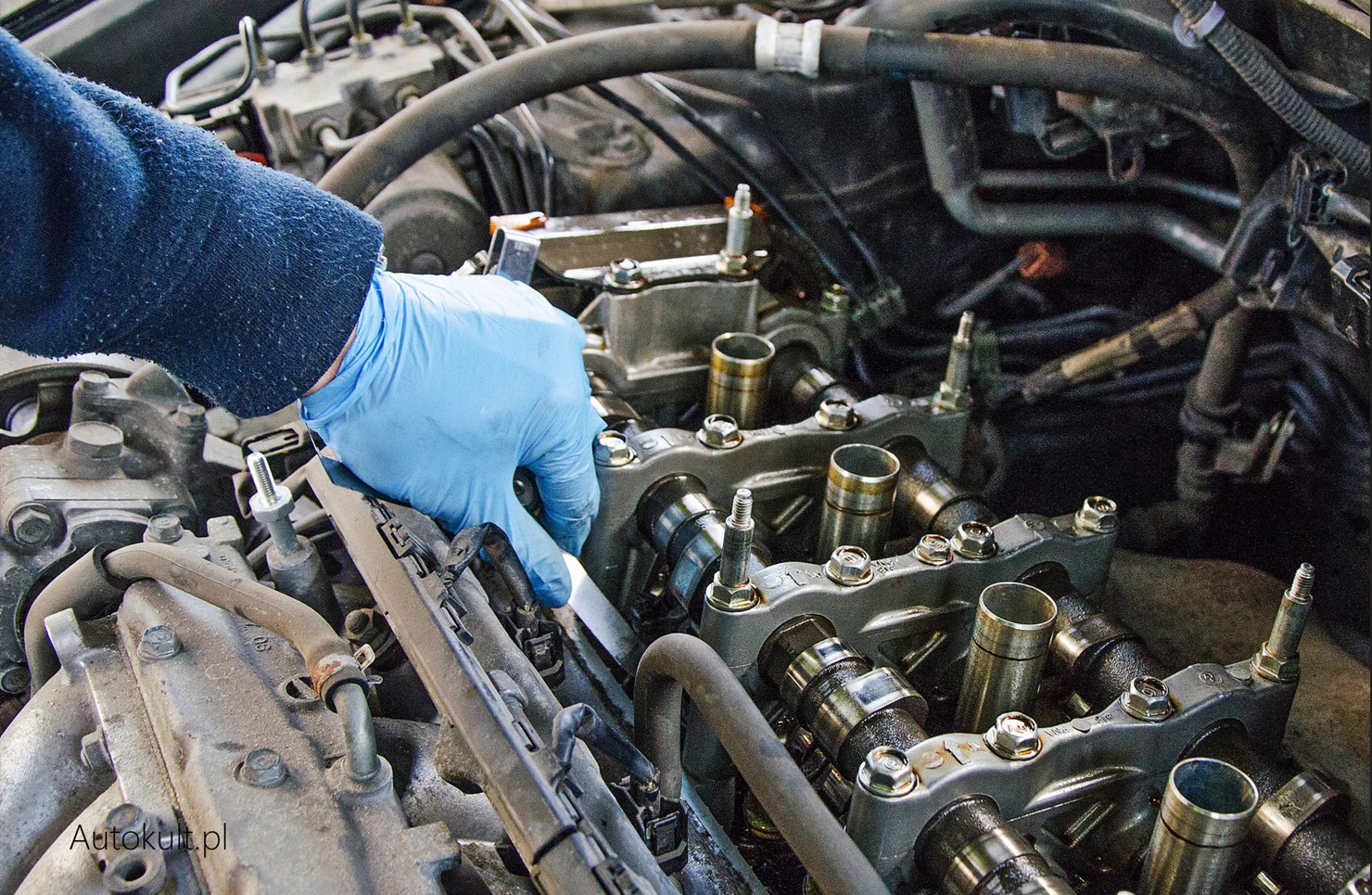 Timing Belt Replacement