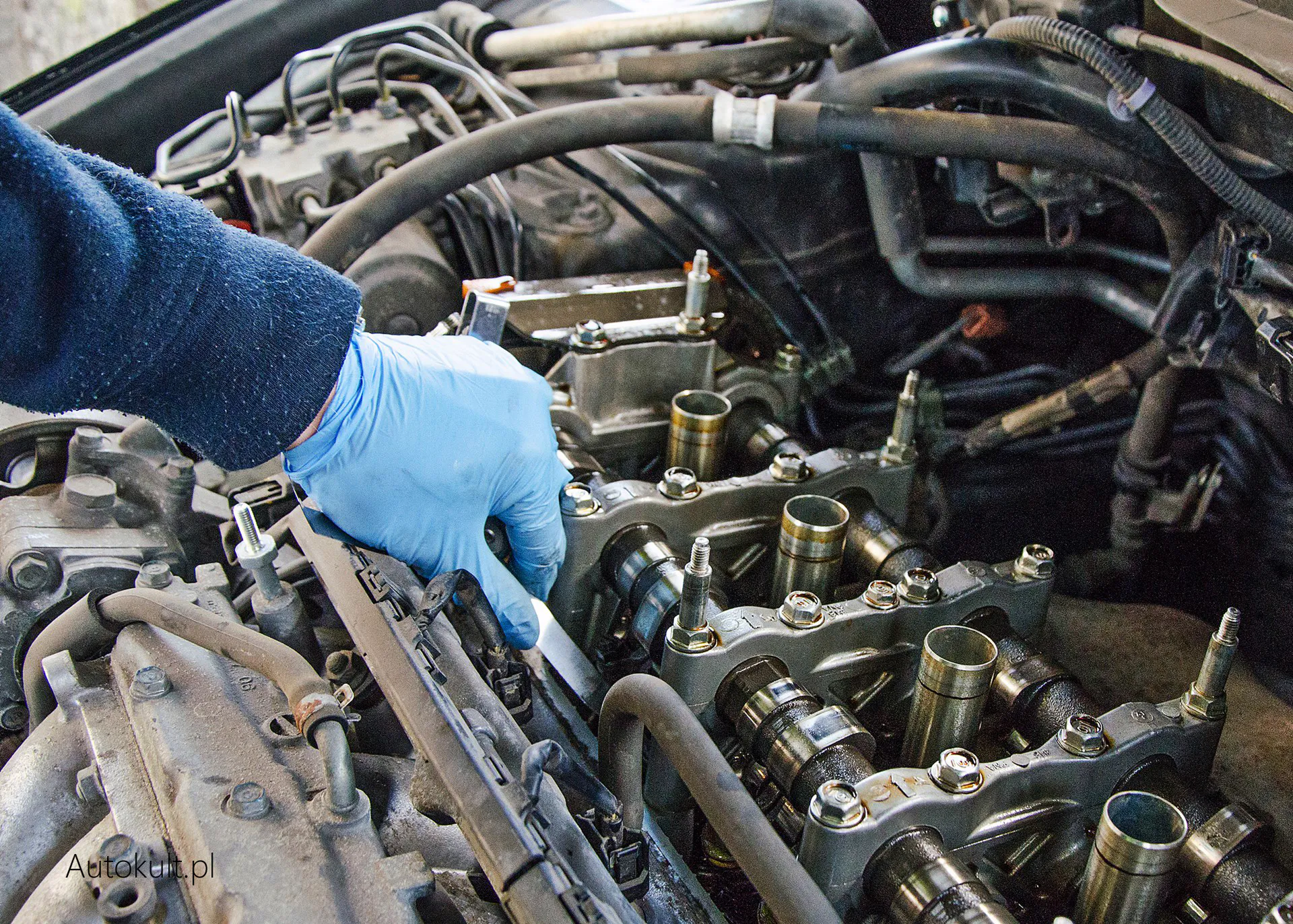 Timing Belt Replacement